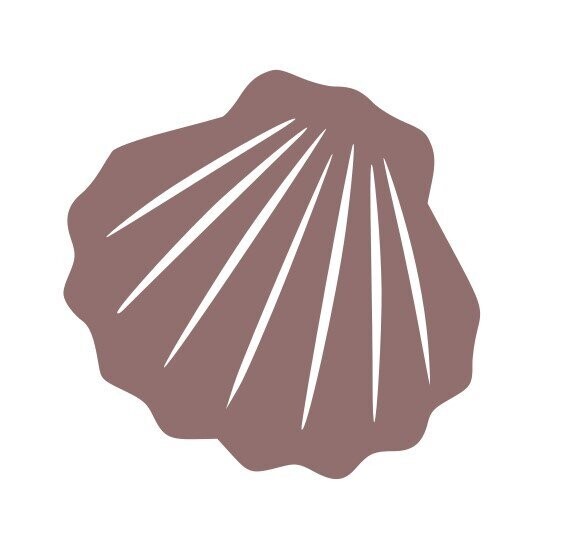 Coquillage