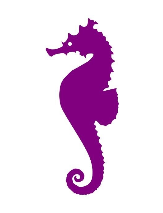 Hippocampe