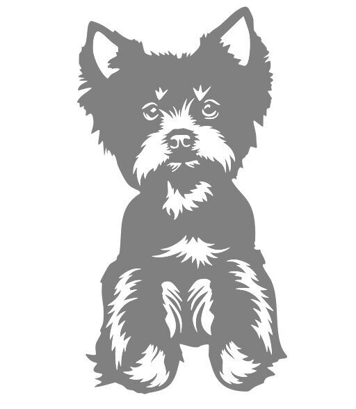 Silhouette Chien Yorkshire