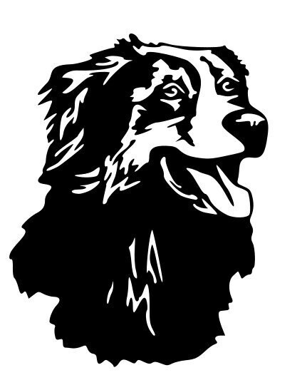 Silhouette Chien berger australien
