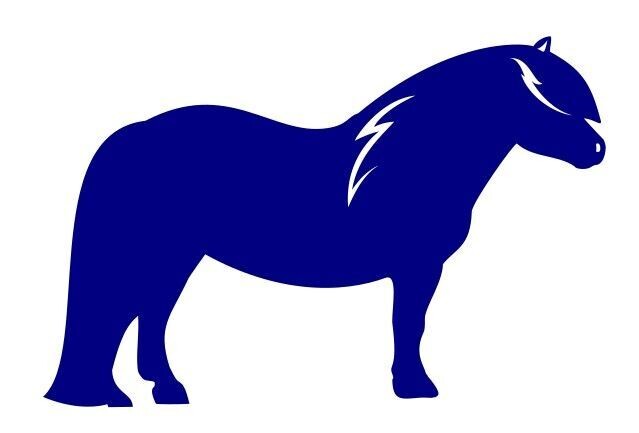 Applique poney shetland