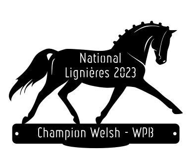National Welsh Lignières 2023 - Champion WPB