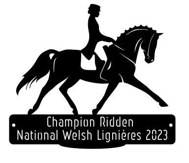 National Welsh Lignières 2023 - Champion Ridden