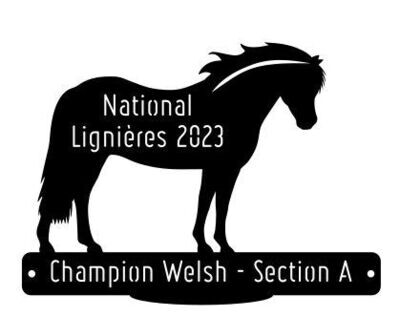 National Welsh Lignières 2023 - Champion Section A