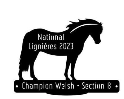 National Welsh Lignières 2023 - Champion Section B