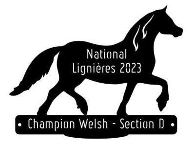 National Welsh Lignières 2023 - Champion Section D