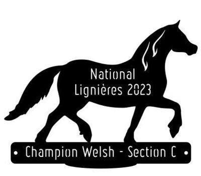 National Welsh Lignières 2023 - Champion Section C