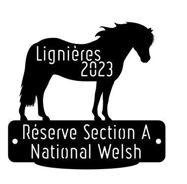 National Welsh Lignières 2023 - Réserve Section A