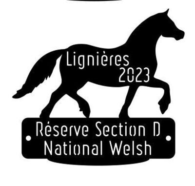 National Welsh Lignières 2023 - Réserve Section D