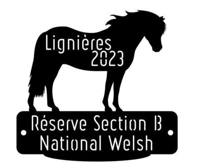 National Welsh Lignières 2023 - Réserve Section B