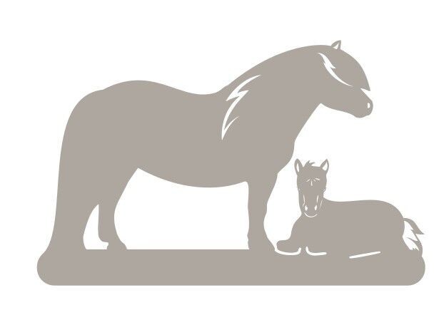 Applique  Ponette et Poulain