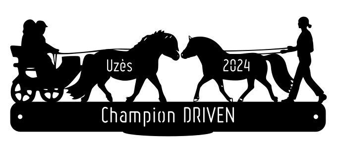 CHAMPION DRIVEN - Uzès 2024