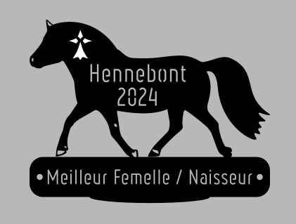 Meilleure femelle - Hennebont 2024