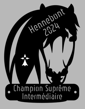 Champion suprême Intermédiaire - Hennebont 2024