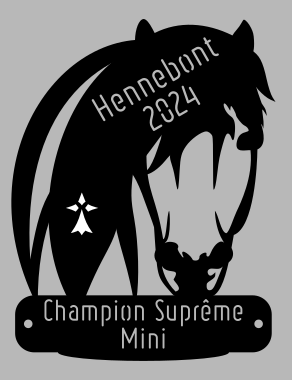Champion suprême Mini - Hennebont 2024