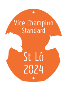 Vice Champion Standard- St Lô 2024