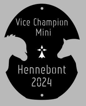 Vice Champion Mini - Hennebont 2024