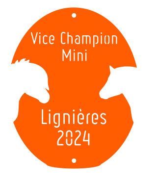 Vice Champion Mini - Lignières 2024