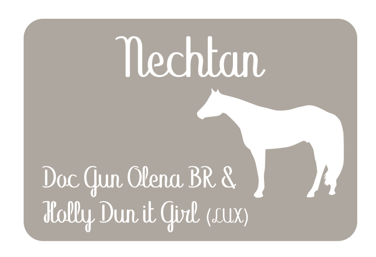 Plaque Quarter Horse