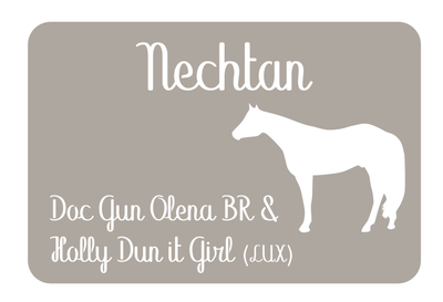 Plaque Quarter Horse