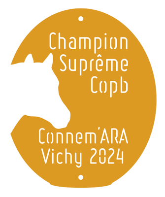 Champion suprême Copb Connemara Vichy 2024