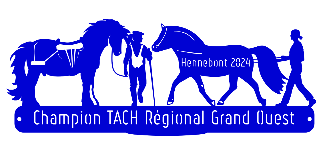 champion TACH régional grand ouest highland 2024