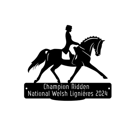 National Welsh Lignières 2024 - Champion Ridden