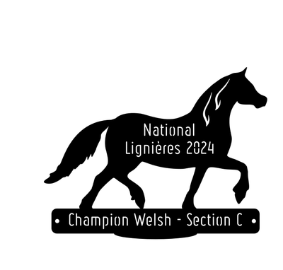 National Welsh Lignières 2024 - Champion Section C