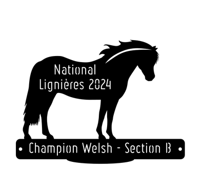 National Welsh Lignières 2024 - Champion Section B