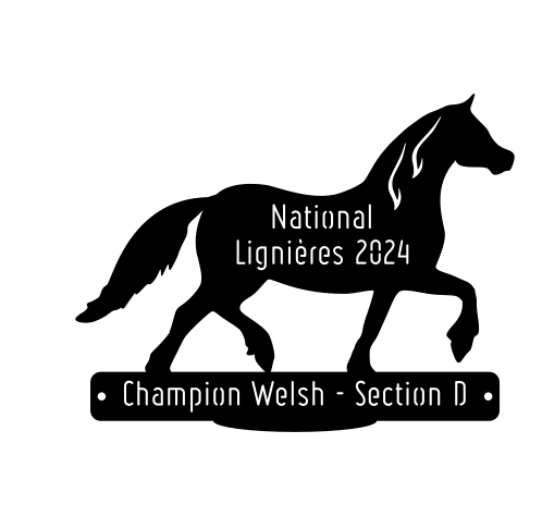 National Welsh Lignières 2024 - Champion Section D