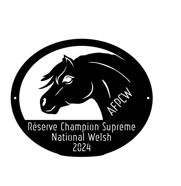National Welsh Lignières 2024 - Réserve Champion Suprême