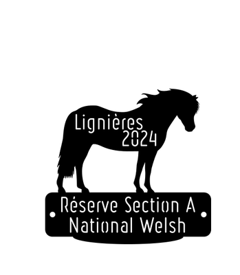 National Welsh Lignières 2024 - Réserve Section A