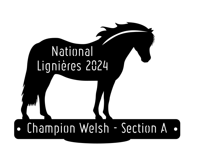 National Welsh Lignières 2024 - Champion Section A