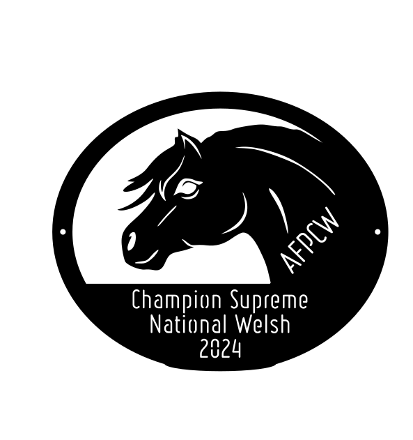National Welsh Lignières 2024 - Champion Suprême