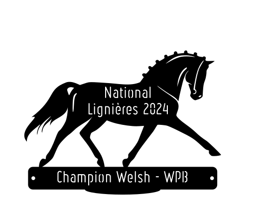 National Welsh Lignières 2024 - Champion WPB