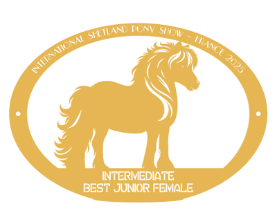 Best Junior Female INTERMEDIATE