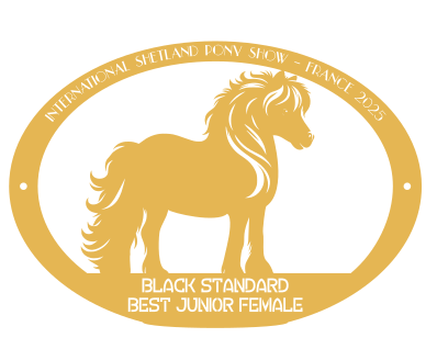 Best Junior Female BLACK STANDARD