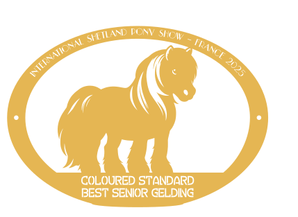 Best Senior gelding COLOURED STANDARD