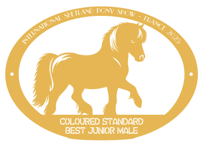 Best Junior Male COLOURED STANDARD