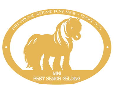 Best Senior gelding MINI