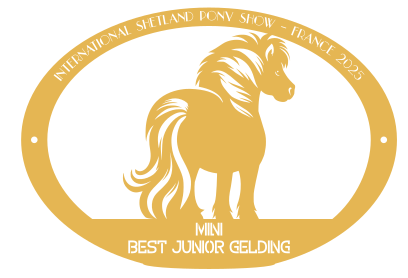 Best Junior gelding MINI