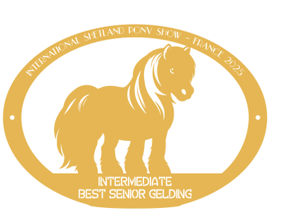 Best Senior gelding INTERMEDIATE