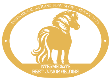 Best Junior gelding INTERMEDIATE