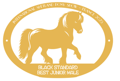 Best Junior Male BLACK STANDARD