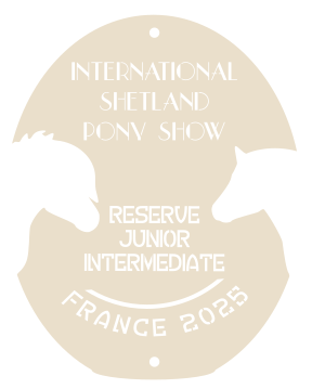 Reserve junior INTERMEDIATE