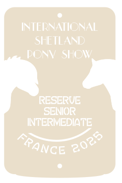 Reserve senior INTERMEDIATE