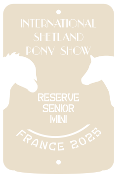 Reserve senior MINI