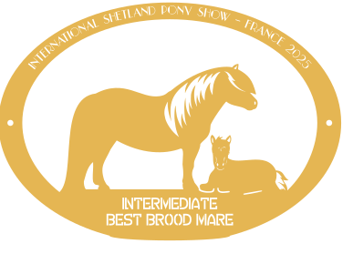 Best Brood Mare INTERMEDIATE