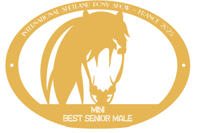 Best Senior Male MINI