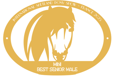 Best Senior Male MINI